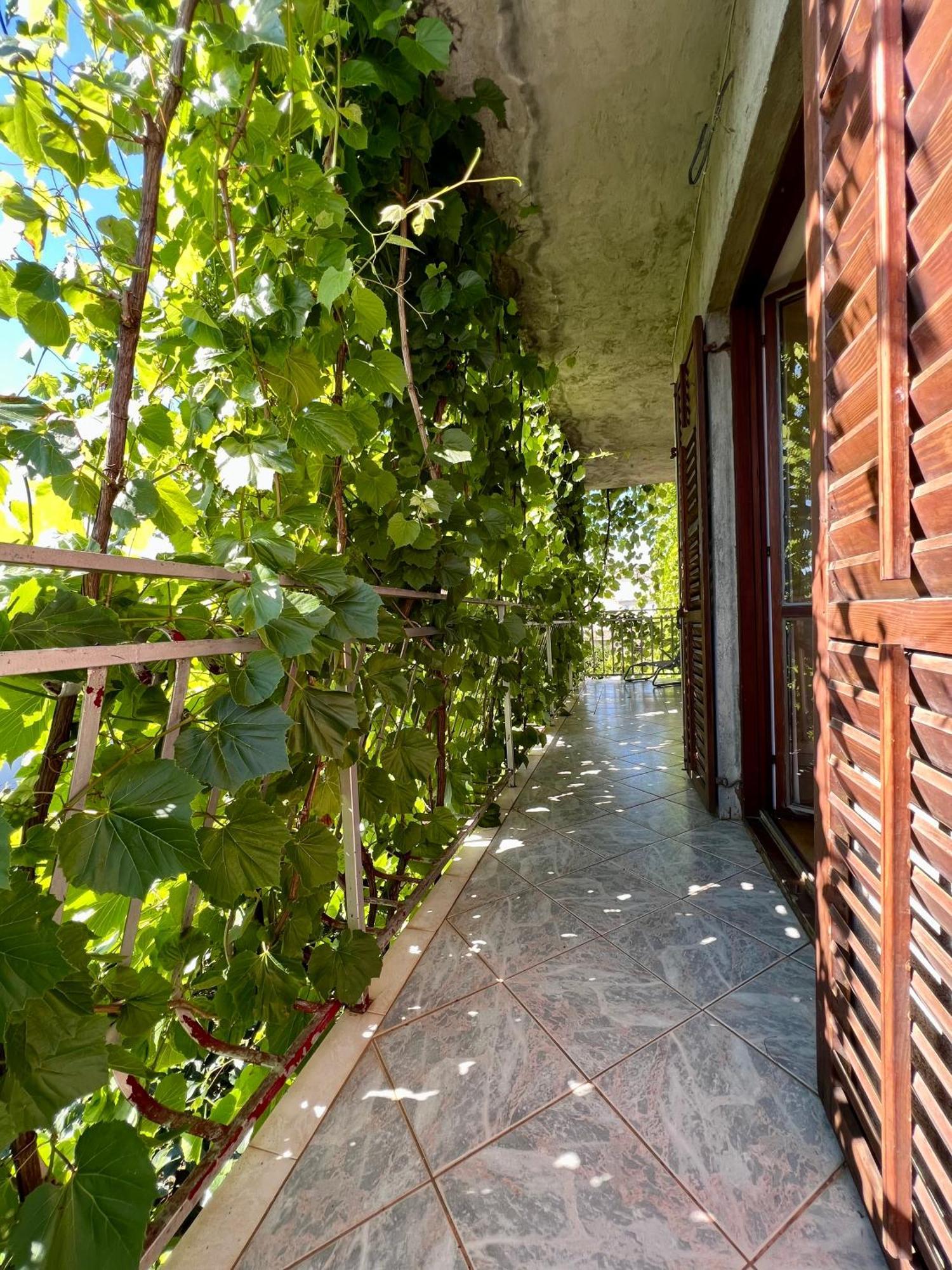 Vodice Center Apartments חדר תמונה
